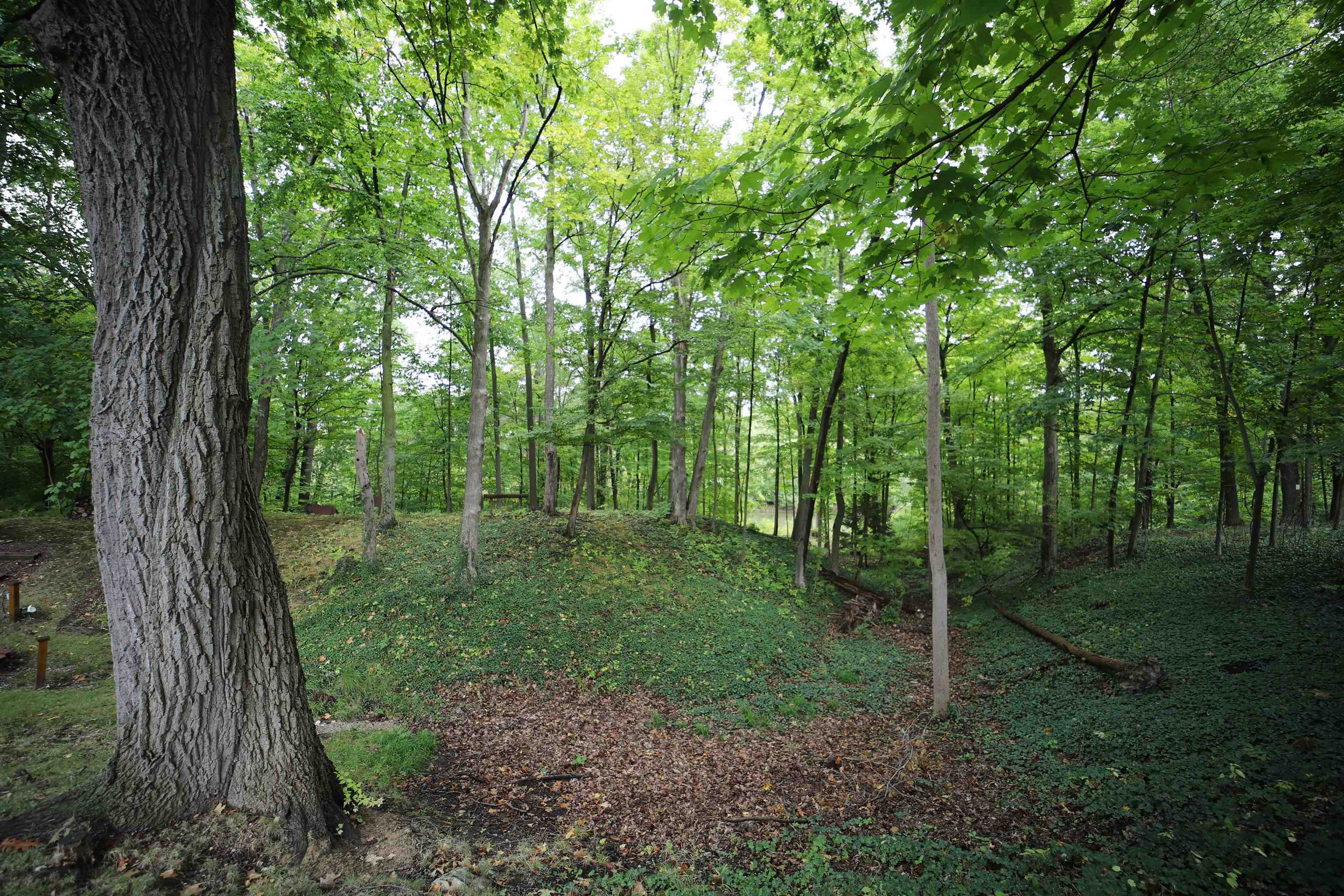 7296 East River Road Flushing, MI 48433 - Photo 32 of 39