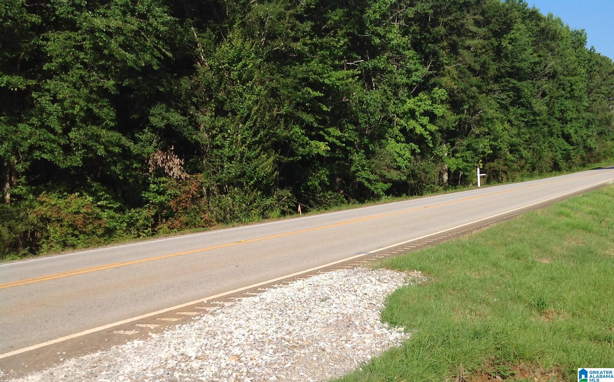 14885 Highway 46 Heflin, AL 36264 - Photo 45 of 45