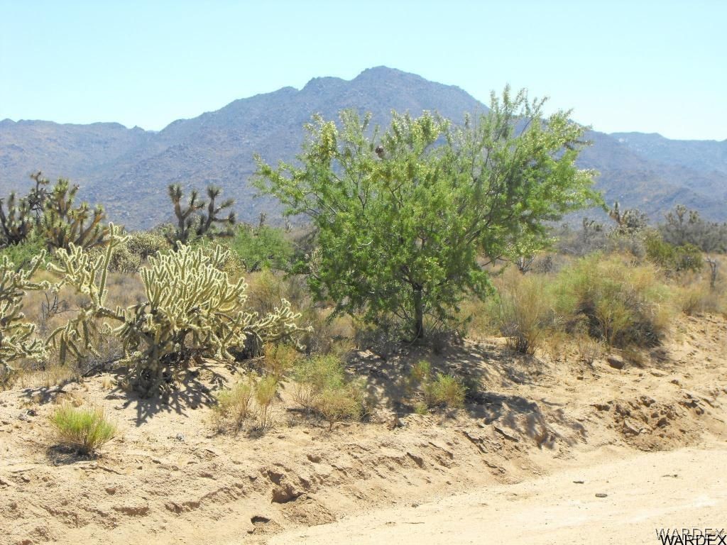 0 La Cienega Road Yucca, AZ 86438 - Photo 6 of 10 Gallery Image 6