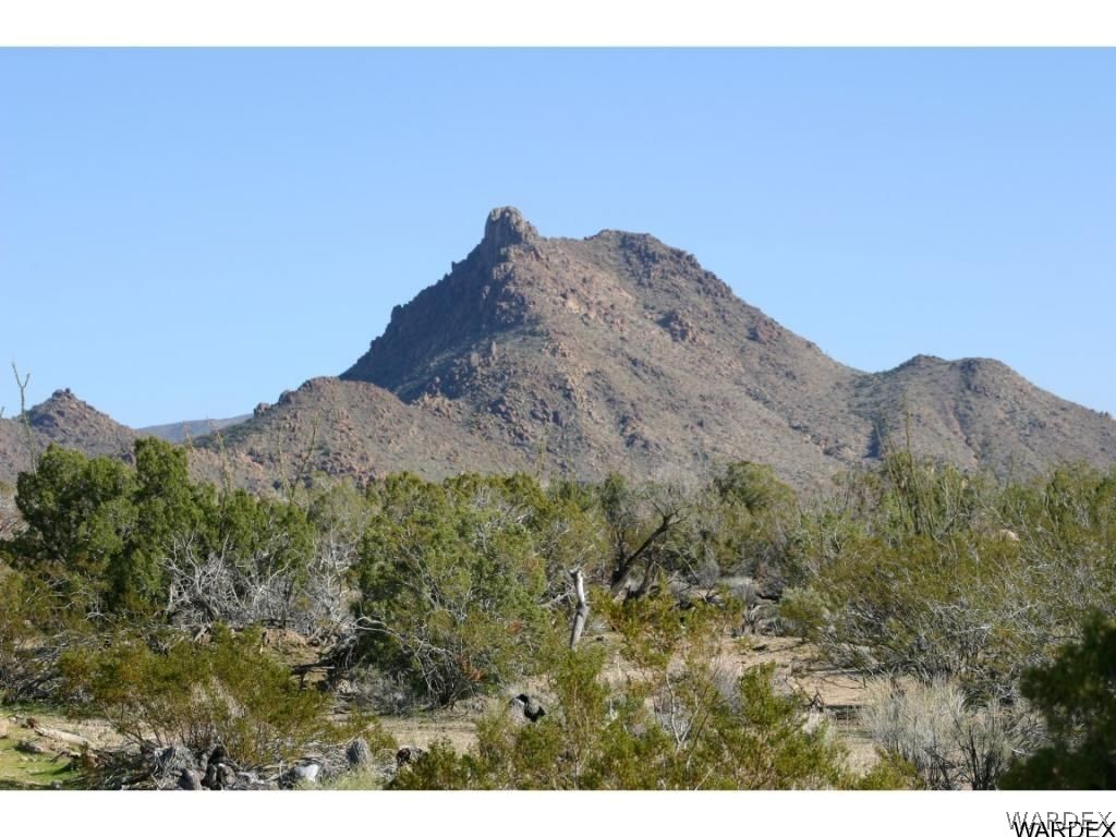 0 La Cienega Road Yucca, AZ 86438 - Photo 9 of 10 Gallery Image 9