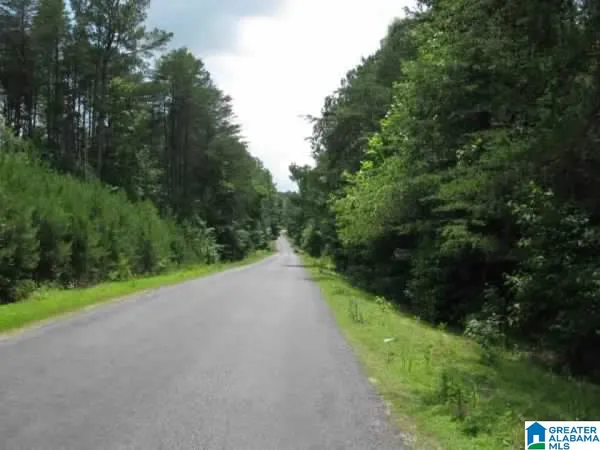 $1,500,000 | 0 County Road 141, Unit 1, Ider, AL 35981