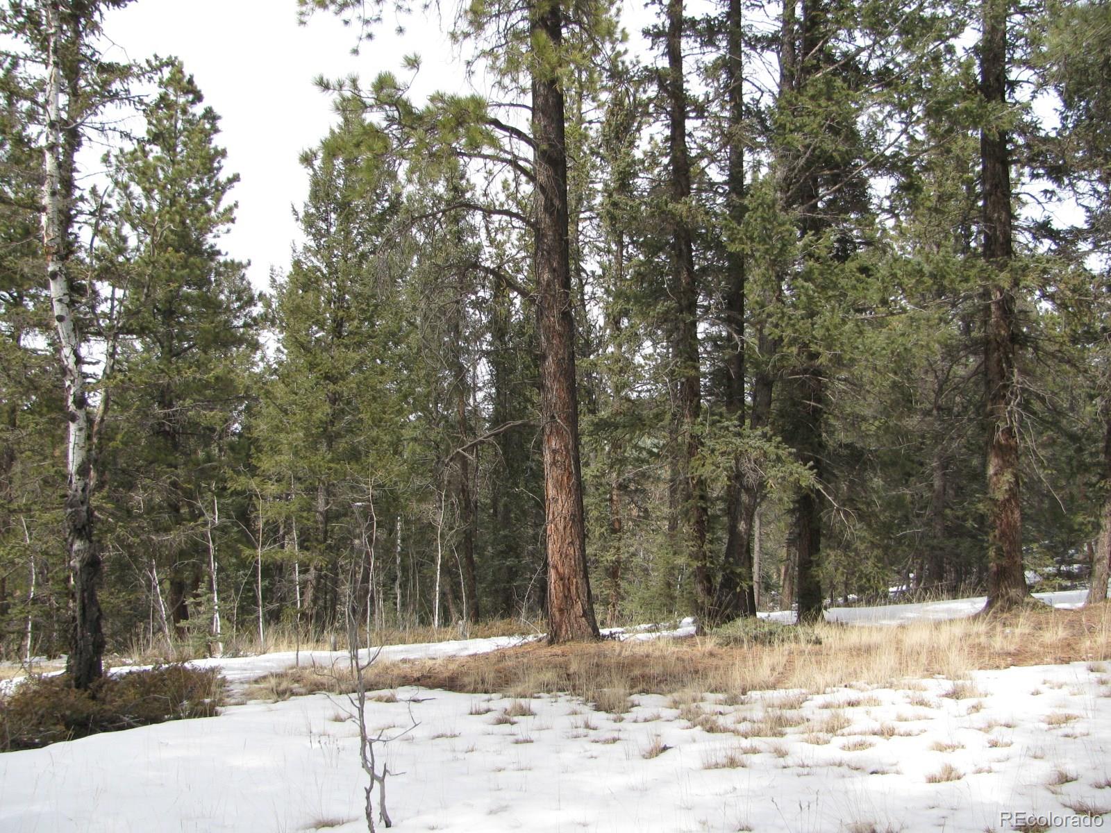 8463 County 92 Rd Lake Lake George, CO 80827 - Photo 14 of 24 Gallery Image 14