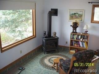 8463 County 92 Rd Lake Lake George, CO 80827 - Photo 18 of 24 Gallery Image 18
