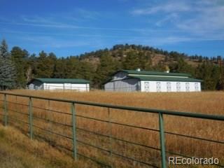 8463 County 92 Rd Lake Lake George, CO 80827 - Photo 3 of 24 Gallery Image 3