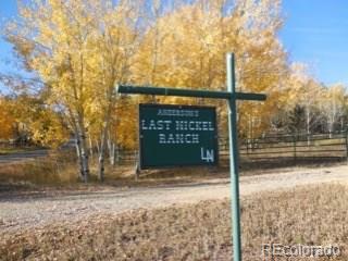 8463 County 92 Rd Lake Lake George, CO 80827 - Photo 8 of 24 Gallery Image 8
