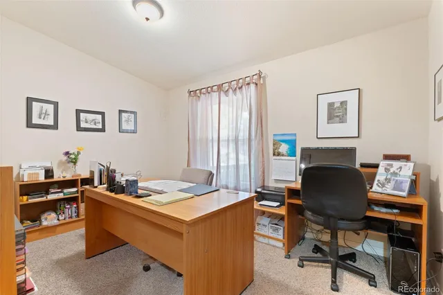 a view of a dry yard with trees