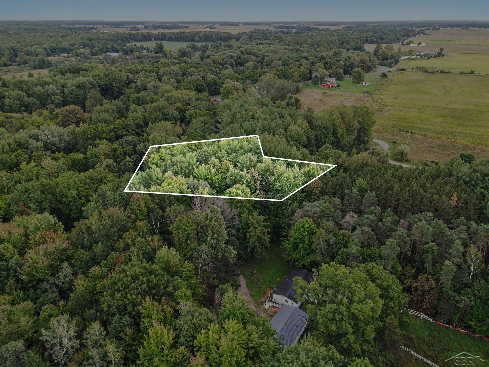 18287 Nelson Road St. Charles, MI 48655 - Photo 3 of 17 Gallery Image 3