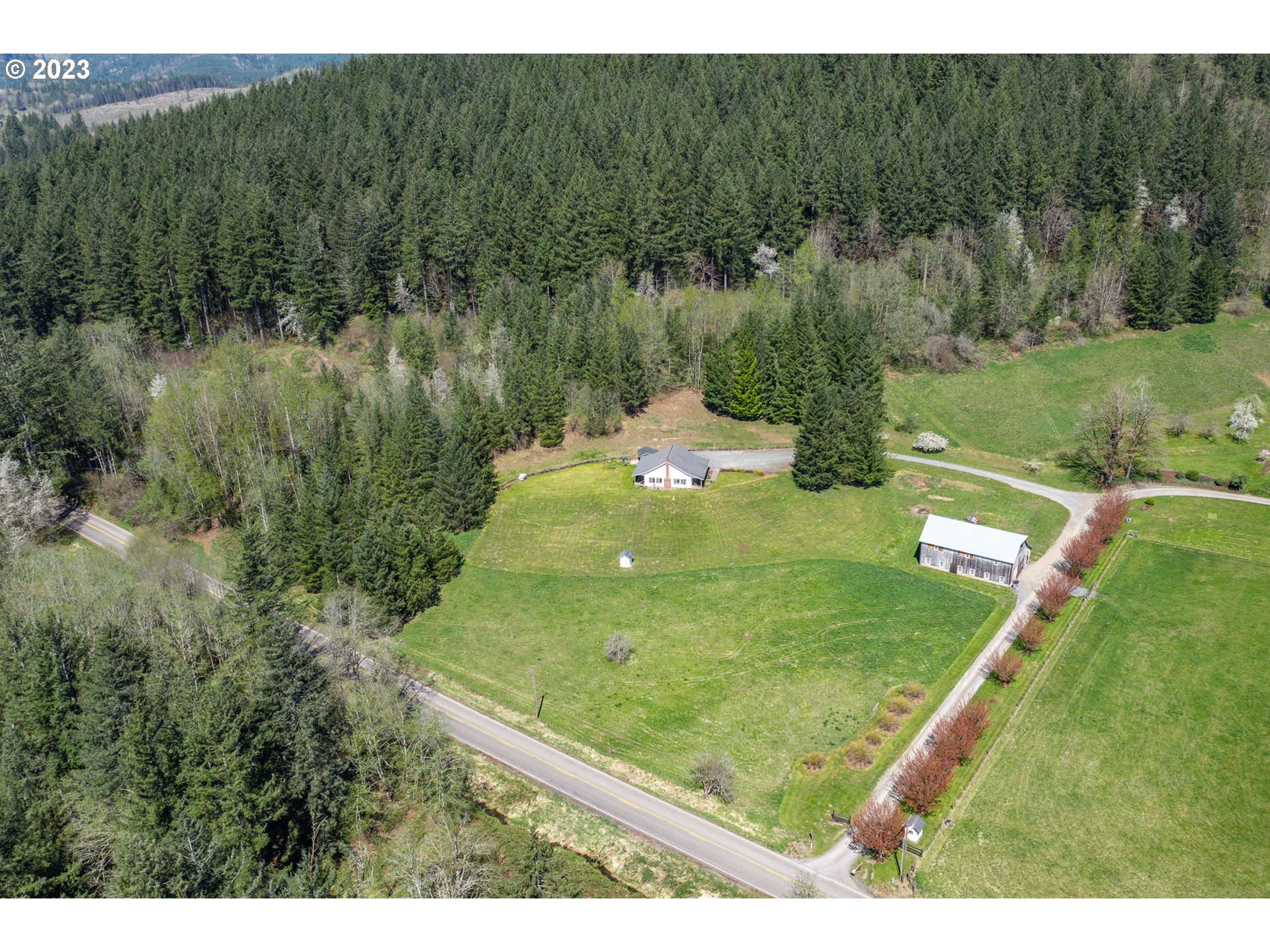 29416 Northeast Healy Road, Unit 2 Amboy, WA 98601 - Photo 12 of 41 a view of a lake from a yard