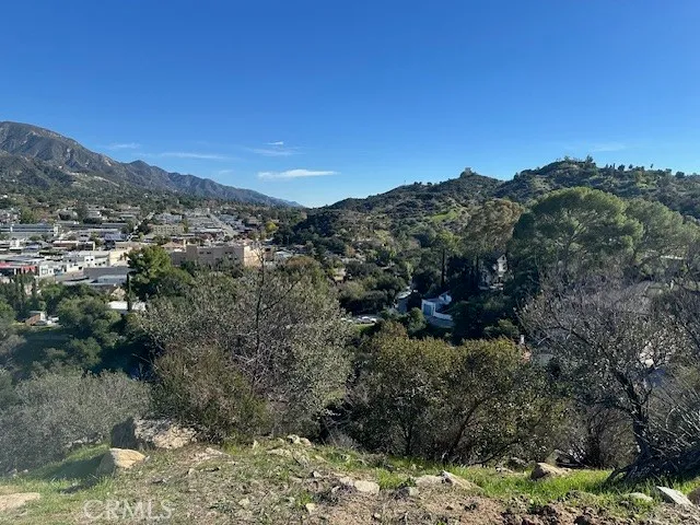 a view of a forest with a mountain in the background