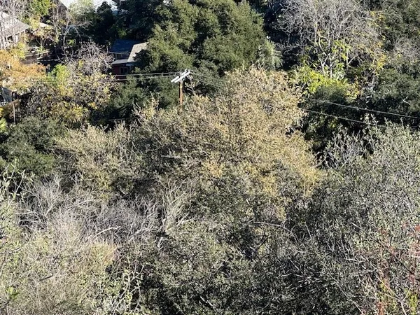 a view of a house with a tree of the background