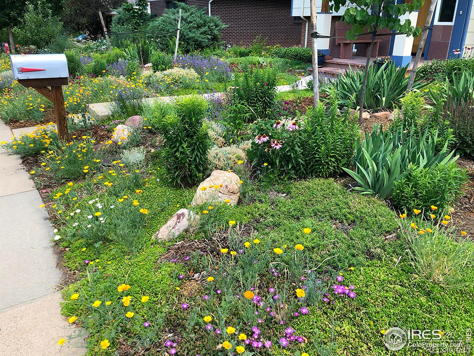 1190 Albion Road Boulder, CO 80305 - Photo 39 of 42