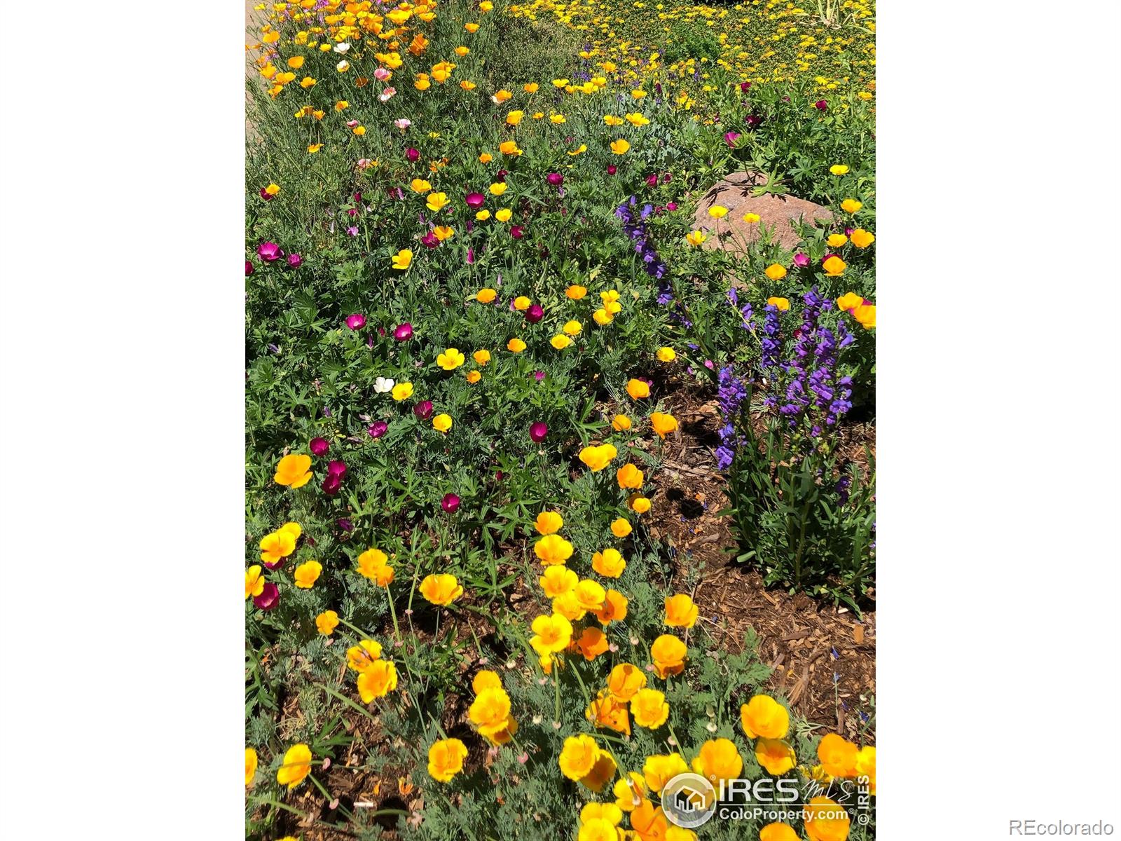 1190 Albion Road Boulder, CO 80305 - Photo 40 of 42