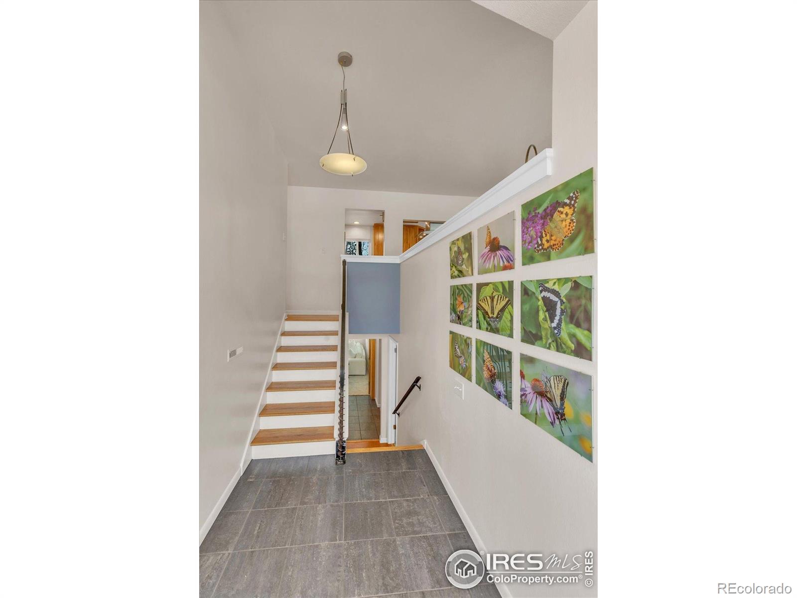 1190 Albion Road Boulder, CO 80305 - Photo 4 of 42