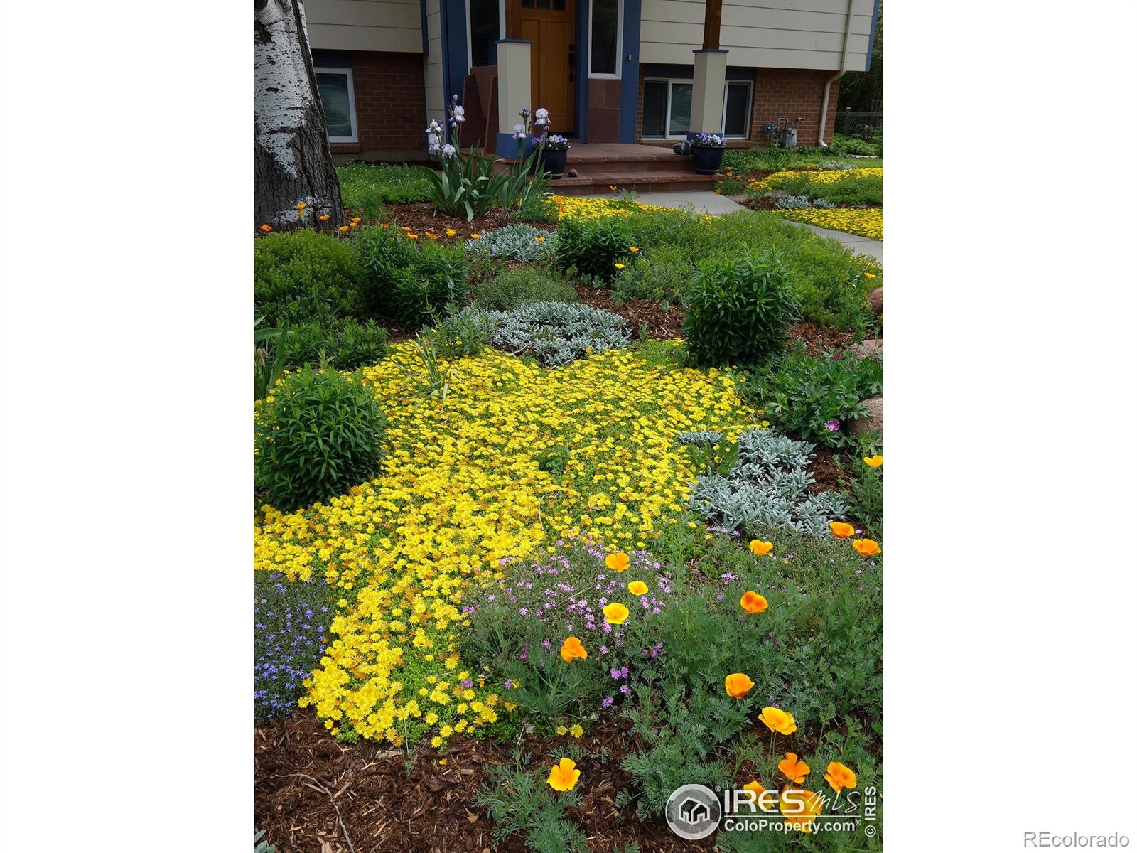 1190 Albion Road Boulder, CO 80305 - Photo 41 of 42