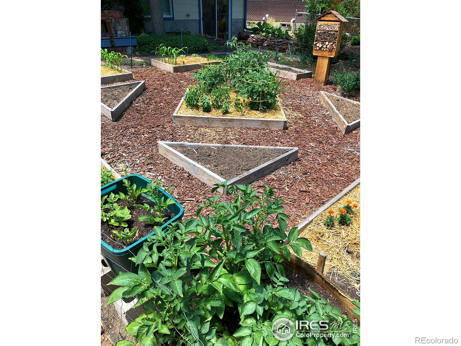 1190 Albion Road Boulder, CO 80305 - Photo 42 of 42