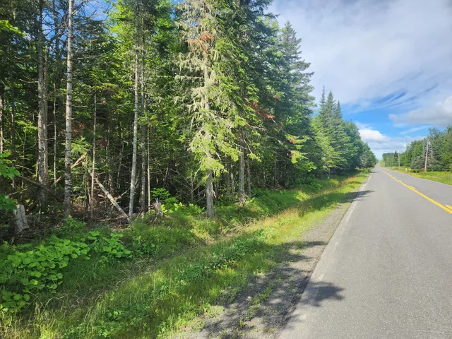 $200,000 | M6-l26 Woodland Center Road, Perham, ME 04766