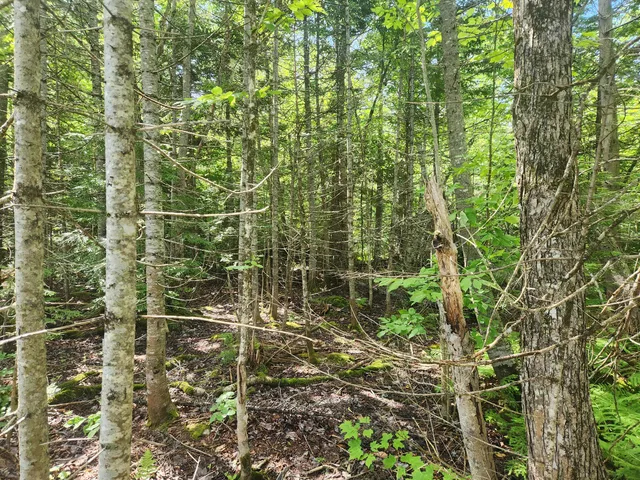 $200,000 | M6-l26 Woodland Center Road, Perham, ME 04766