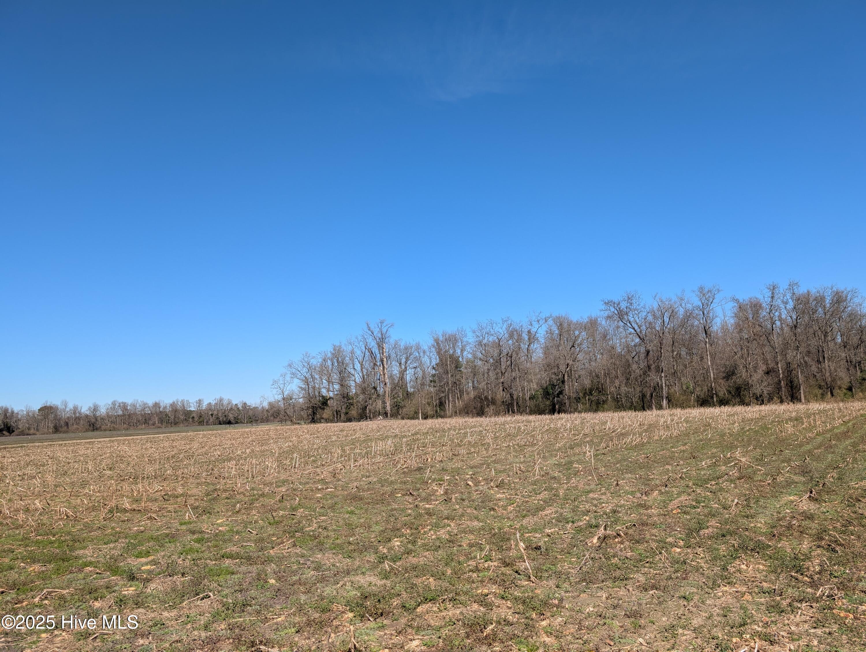 0 Cedar Fork Road Beulaville, NC 28518 - Photo 4 of 7 PXL_20250217_170938578