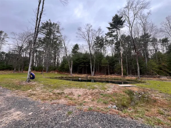 a view of a backyard with green space