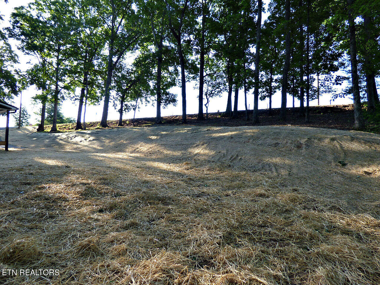 660 Chestnut Grove Road Dandridge, TN 37725 - Photo 24 of 29 P1290577