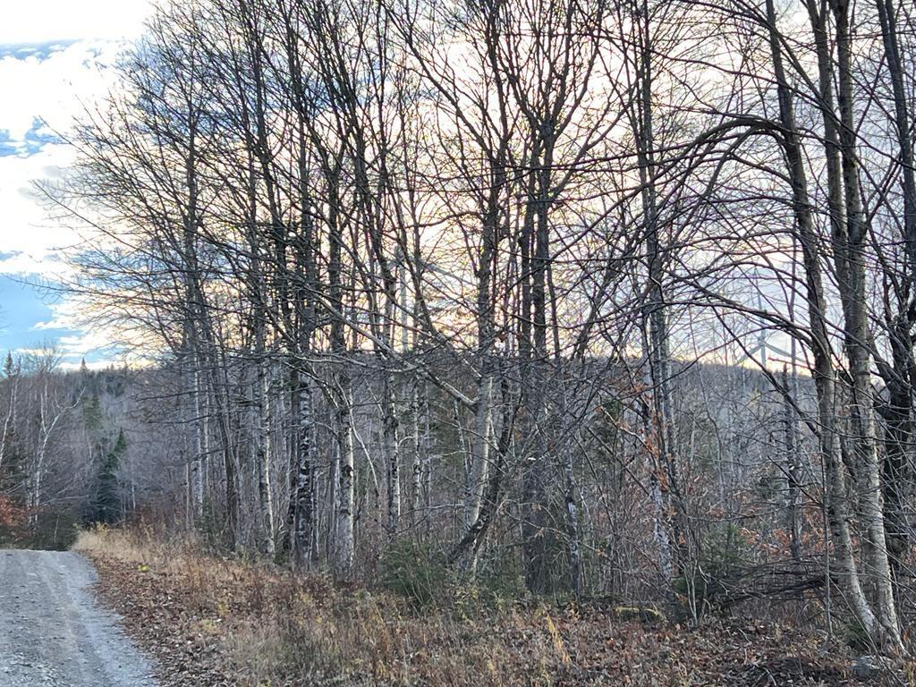Lower Lower Road Oakfield, ME 04763 - Photo 7 of 7 WhatsApp Image 2022-11-04 at 3.55.41 PM