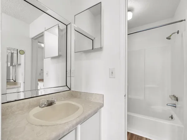 a bathroom with a sink and a mirror