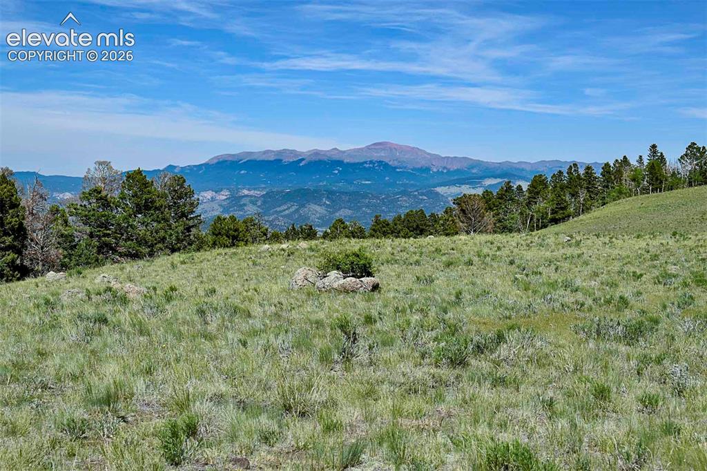 0 Bear Cat Road Guffey, CO 80820 - Photo 22 of 40