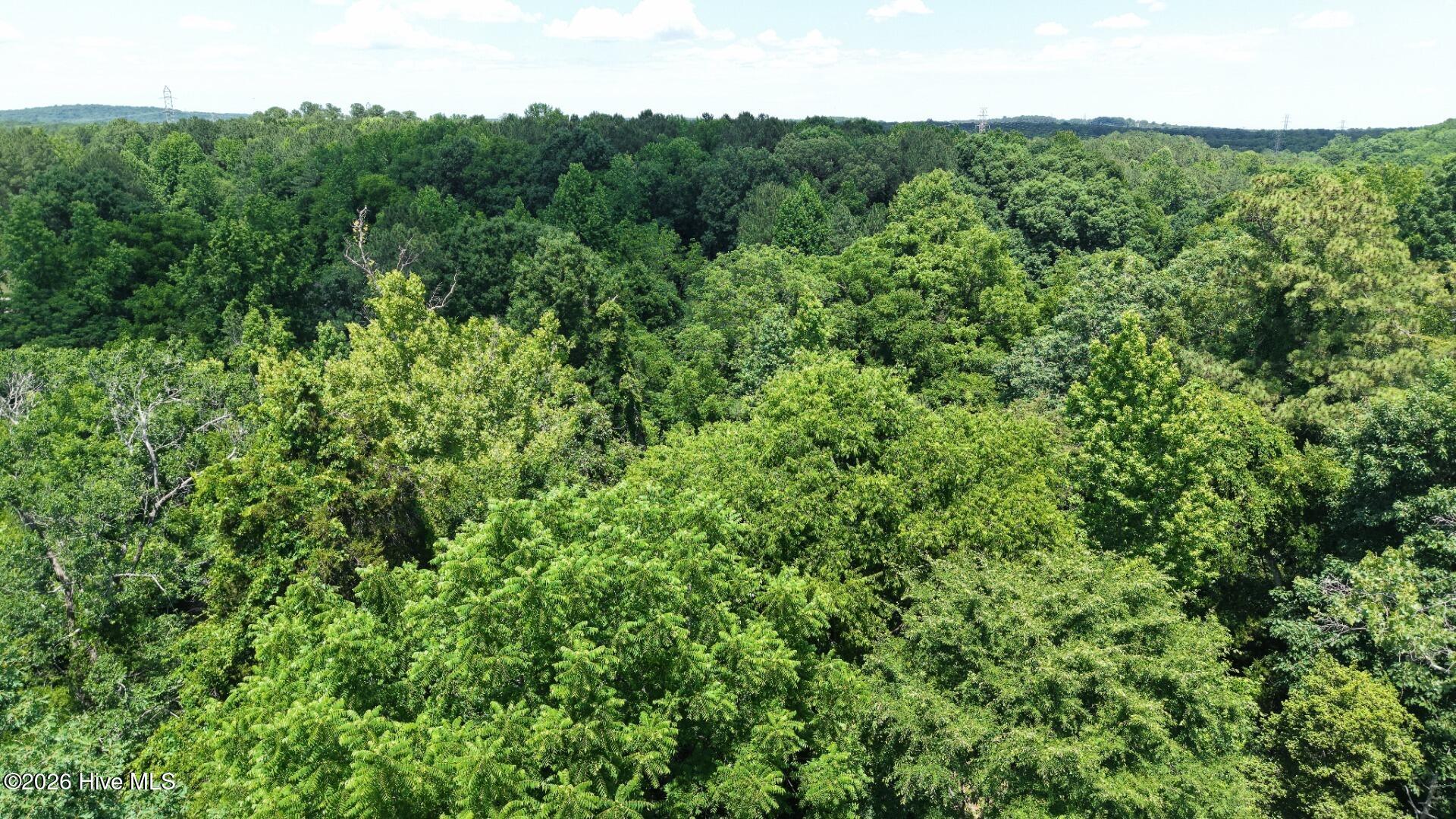 0 Laurel Rdg Road Durham, NC 27705 - Photo 21 of 36