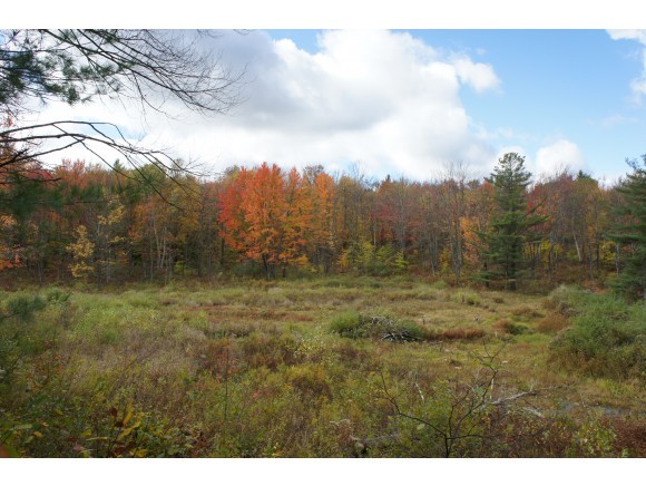 0 Rubaud Road Underhill, VT 05489 - Photo 1 of 1 Gallery Image 1