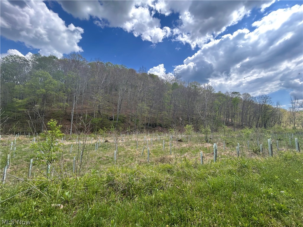 123 Foxtrot Road Looneyville, WV 25259 - Photo 45 of 50