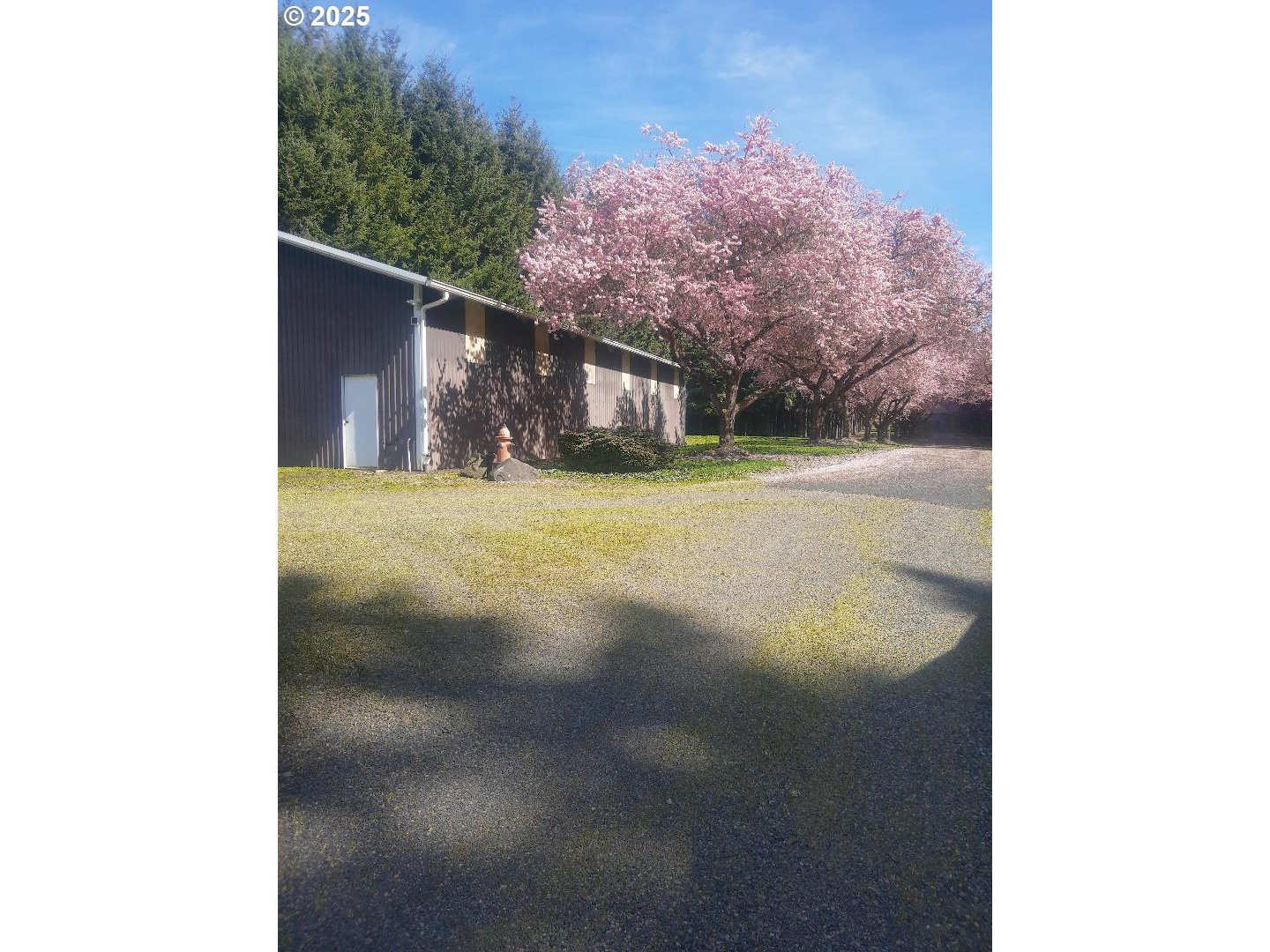 21920 Northwest 67th Avenue Ridgefield, WA 98642 - Photo 48 of 48 a backyard of a house
