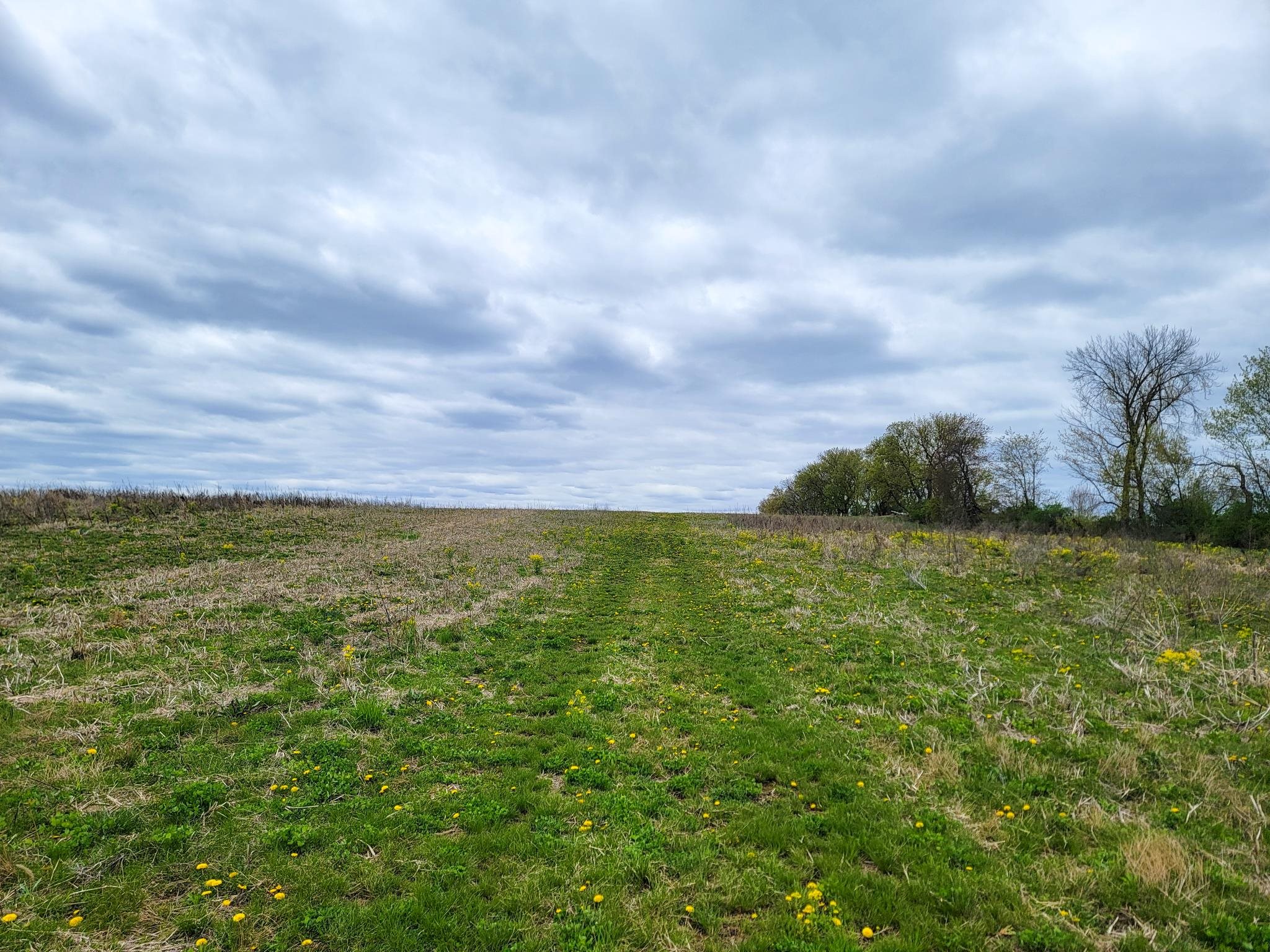 N5495 County Rd B Manawa, WI 54949 - Photo 2 of 8