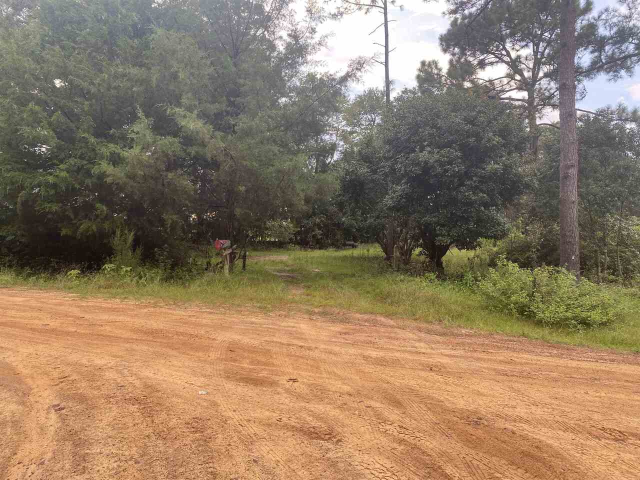 912 Williams Store Road Sylvania, GA 30467 - Photo 1 of 1 Gallery Image 1