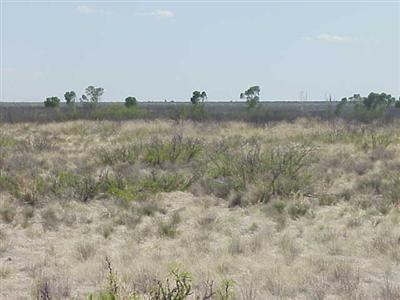 0 East Sulphur Canyon Road Bowie, AZ 85605 - Photo 2 of 4