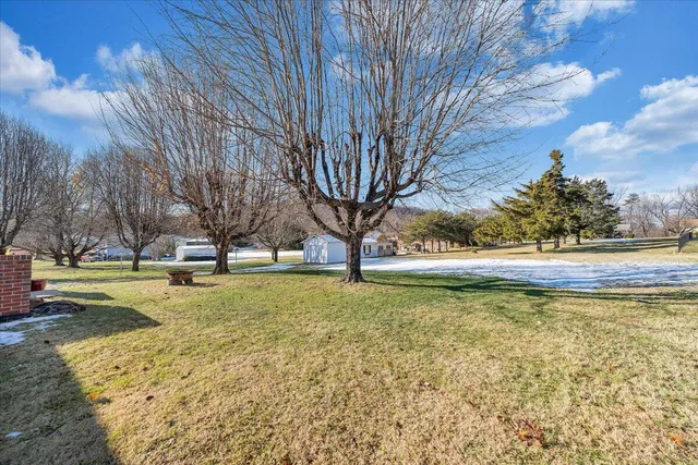 a view of outdoor space and trees