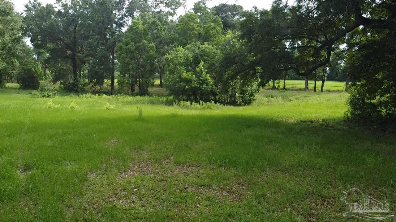 1323 Airport Road Atmore, AL 36502 - Photo 58 of 63