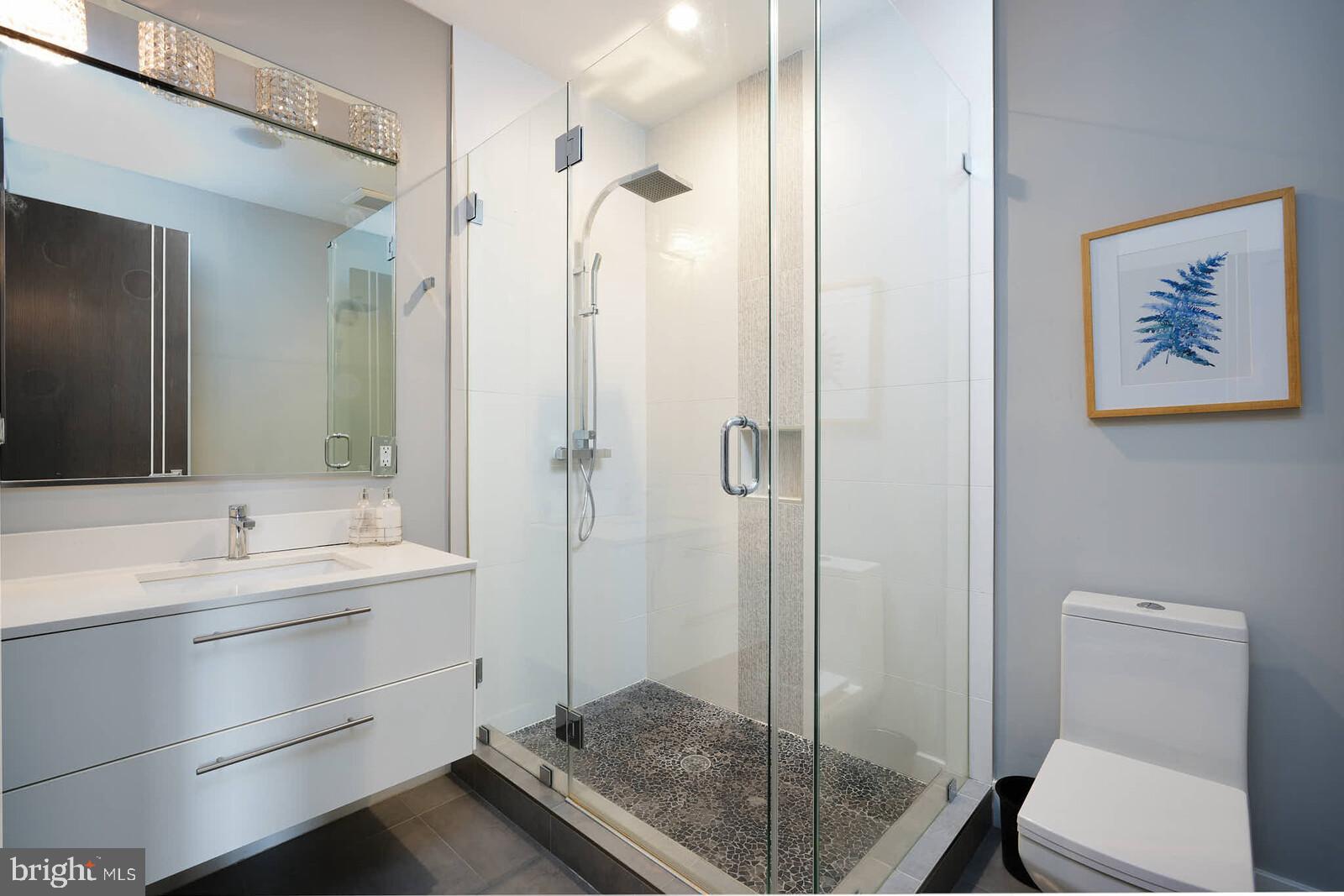 1461 Chapin Street Northwest Washington, DC 20009 - Photo 21 of 67 a bathroom with a granite countertop sink a toilet a mirror and shower