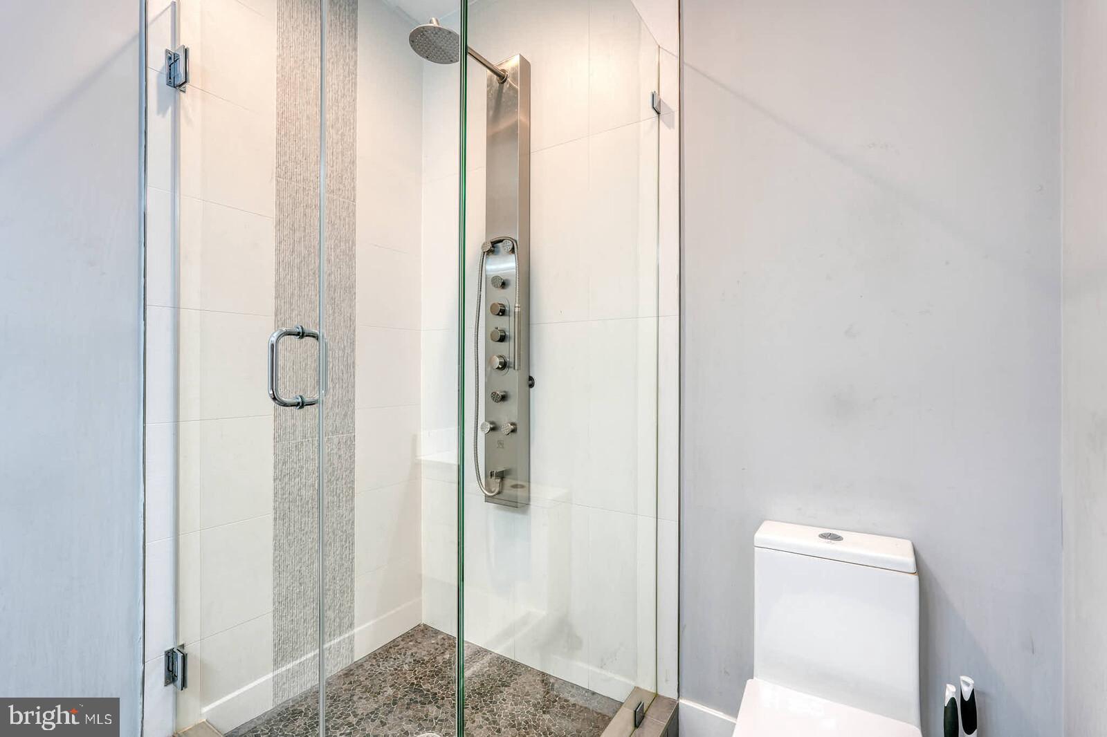 1461 Chapin Street Northwest Washington, DC 20009 - Photo 53 of 67 Sleek modern shower with elegant design.