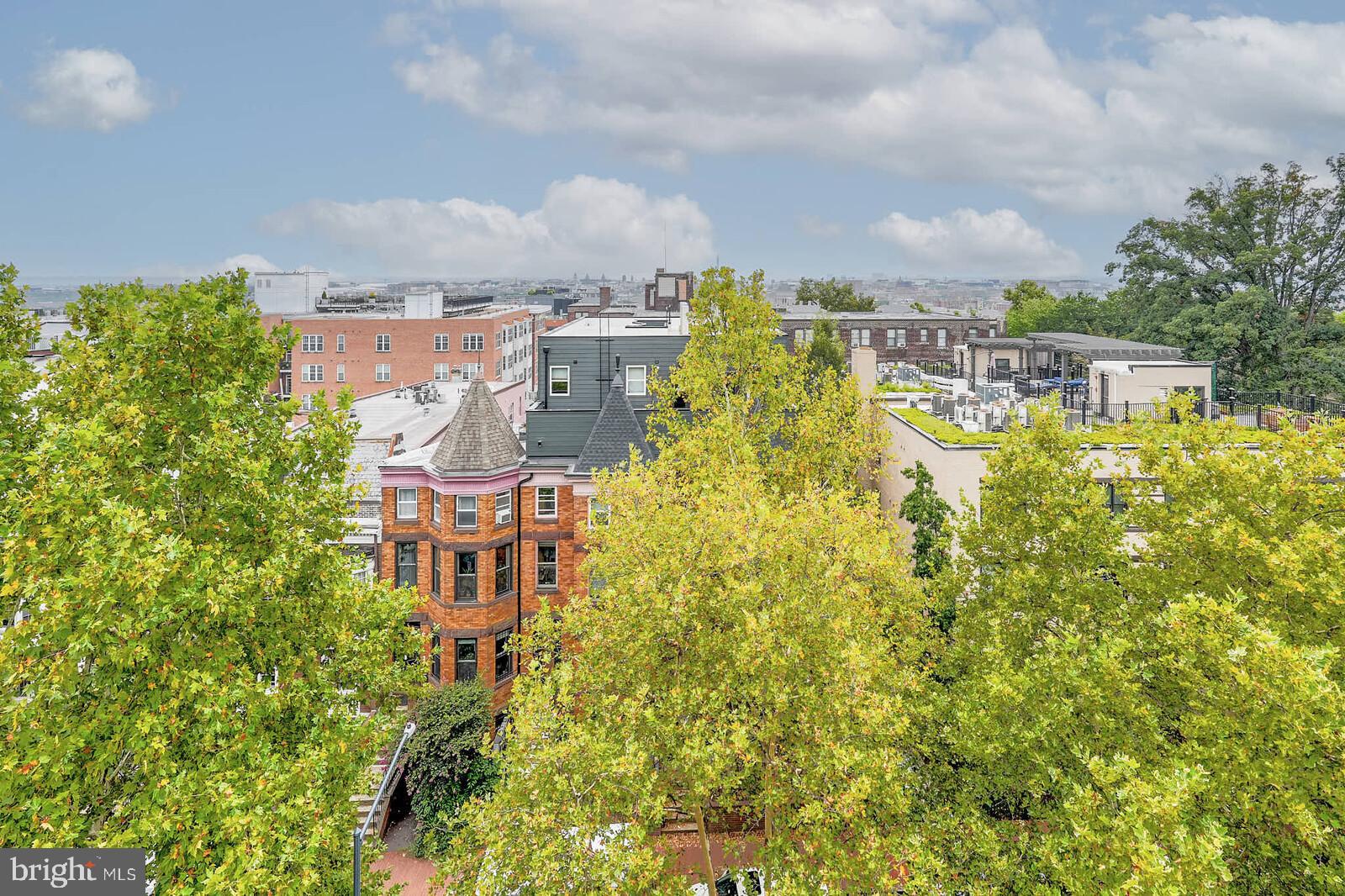 1461 Chapin Street Northwest Washington, DC 20009 - Photo 7 of 67 Charming urban skyline framed by lush trees.