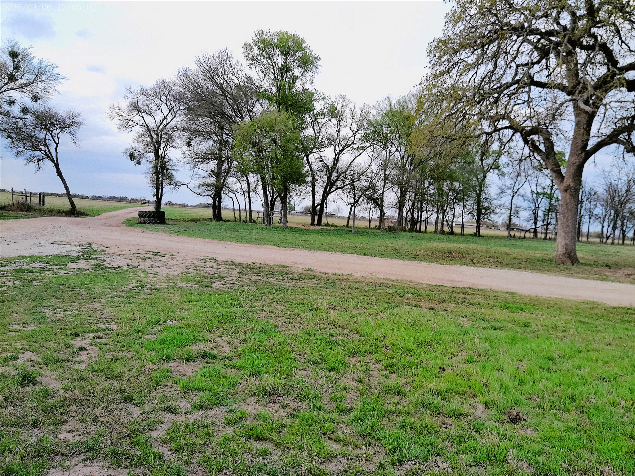 1042 Los Ranchitos Road Cameron, TX 76520 - Photo 7 of 40 a view of a park with large trees