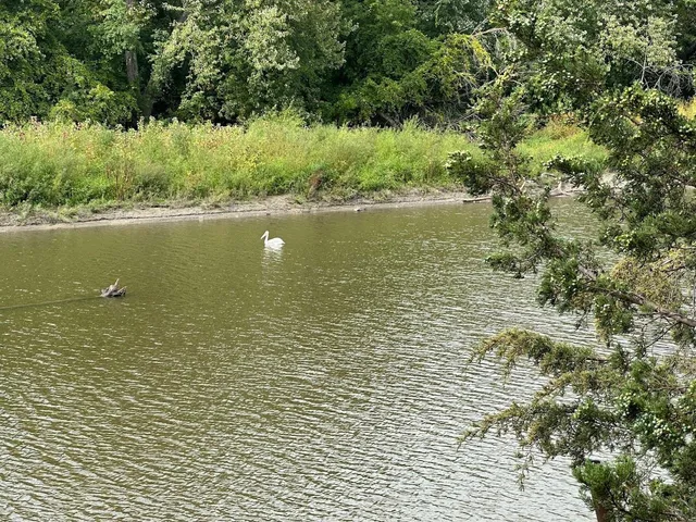 $319,000 | 1523 Cedar Lane, Newport, MN 55055