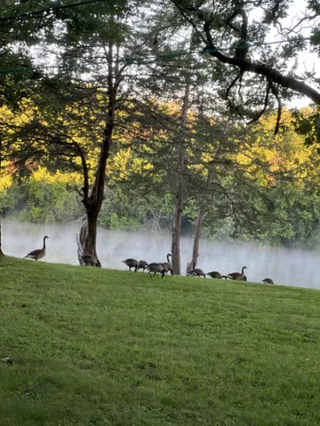 $319,000 | 1523 Cedar Lane, Newport, MN 55055