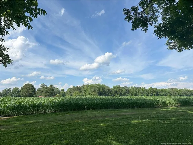 $40,000 | Lot A Pleasant Hope Road, Fairmont, NC 28340