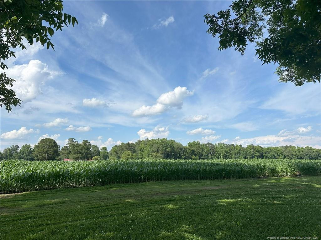 Lot A Pleasant Hope Road Fairmont, NC 28340 - Photo 3 of 6 Photo 3