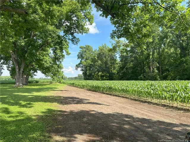 $40,000 | Lot A Pleasant Hope Road, Fairmont, NC 28340