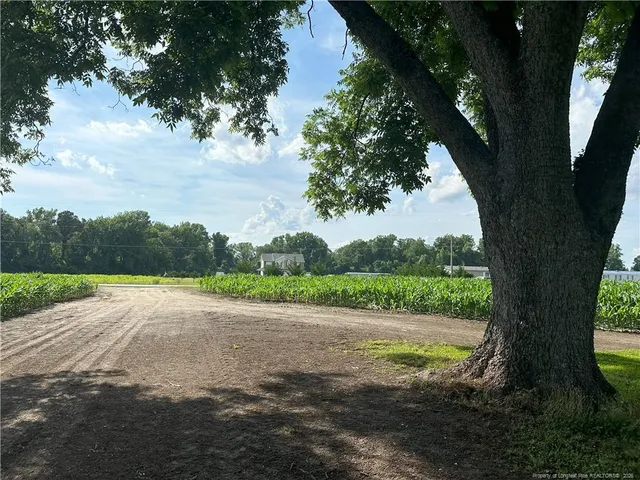 $40,000 | Lot A Pleasant Hope Road, Fairmont, NC 28340