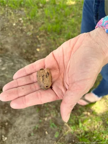 $40,000 | Lot A Pleasant Hope Road, Fairmont, NC 28340