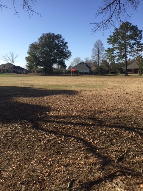9437 Clubhouse Drive Foley, AL 36535 - Photo 5 of 16