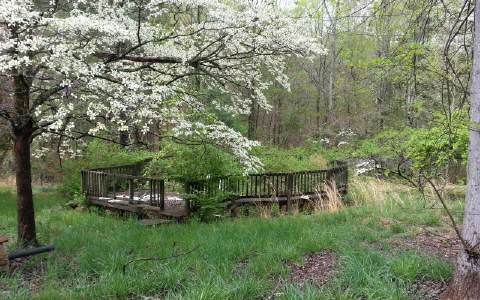 967 North Bull Gap Road Talking Rock, GA 30175 - Photo 1 of 1 Main View