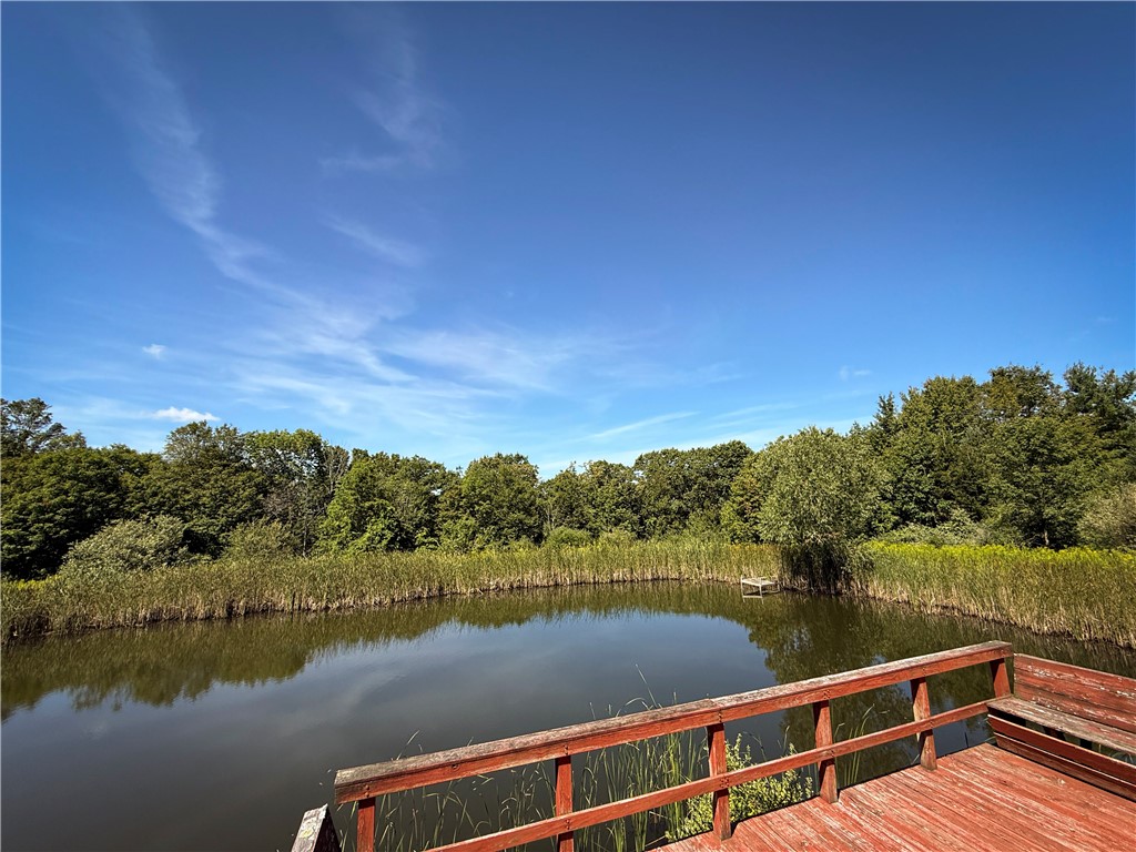 6989 Ross Road Canadice, NY 14560 - Photo 9 of 50 Gallery Image 9